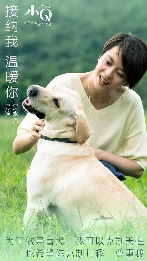太平洋大学学历学位认证